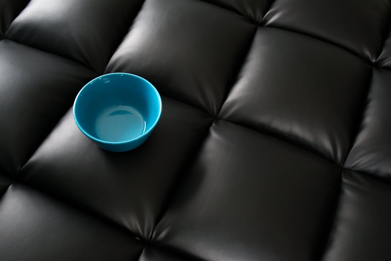 journey-02 A blue bowl sits on a quilted black leather sofa, showcasing minimalist design.